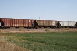 BN 448542